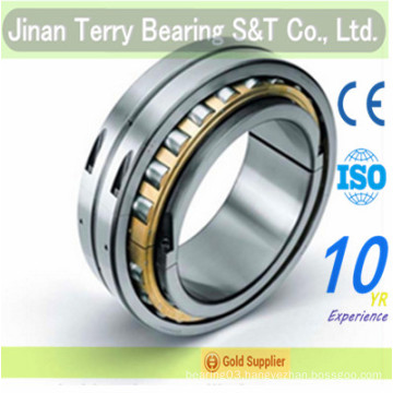 22214e Bearing, Double-Row Spherical Roller Bearing 22214e with High Precision